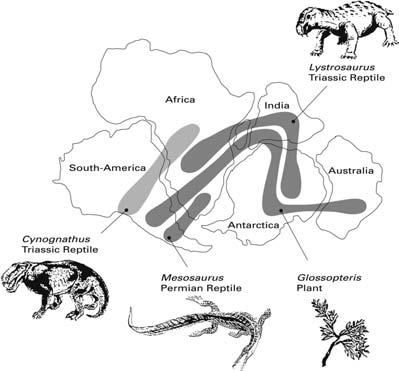 82 ) Chapter Four Figure 13. Continental drift, inferred from (and explaining) the distribution of fossil animals and plants. (From the United States Geological Survey website: http://pubs.usgs.