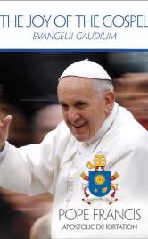 4 The teaching of Pope Francis on the proclamation of the Gospel. He is calling upon the Church and the world with encouragement to begin a new chapter in evangelization. On Nov.