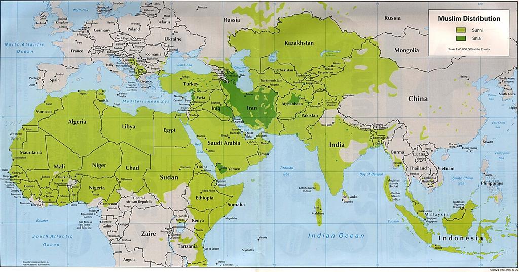 Sunni and Shia: Sunni followers of the first three Caliphs (Abu Bakr, Umar, Uhtman) ~85% of Muslims Concentrated in South East Asia, Saudi Arabia, and Turkey Shia (Shiite) followers of Ali (Shait