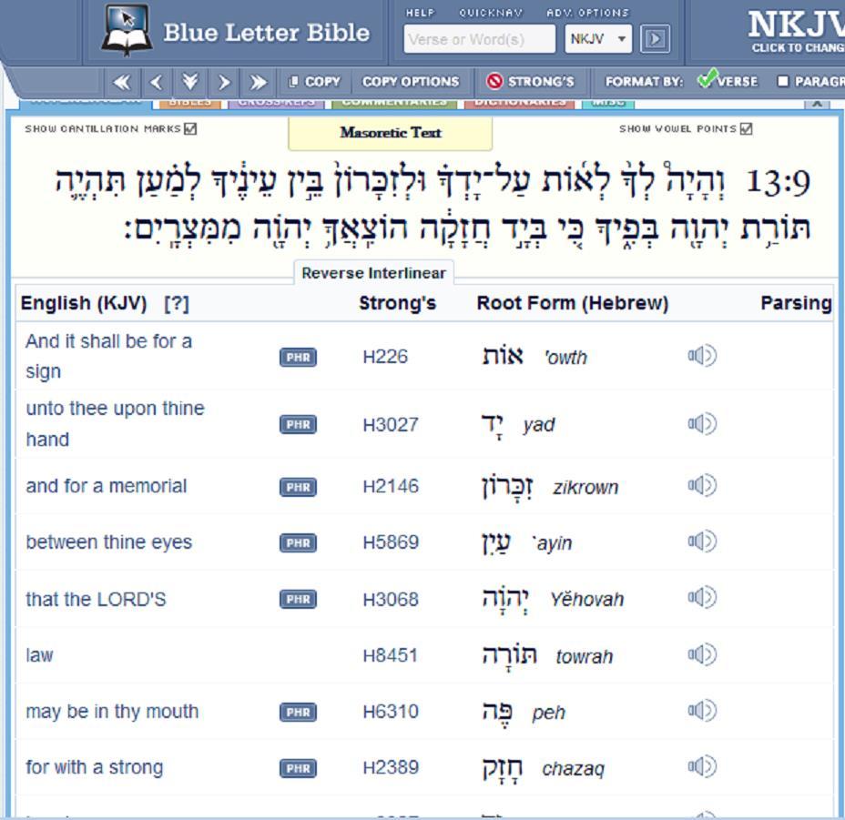 Overview of Biblcal Hebrew Blue Letter Bible has various