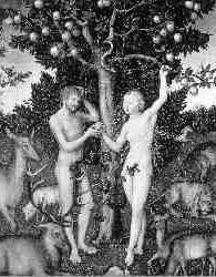 Most decisively, the doctrine rests on the following two false premises: First, the story of Adam and Eve in Genesis is basically historical record (it isn t).