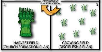 Field 4: Harvest Field Become a Church HOW? HOW? Key Question How can the group become a healthy New Testament church?