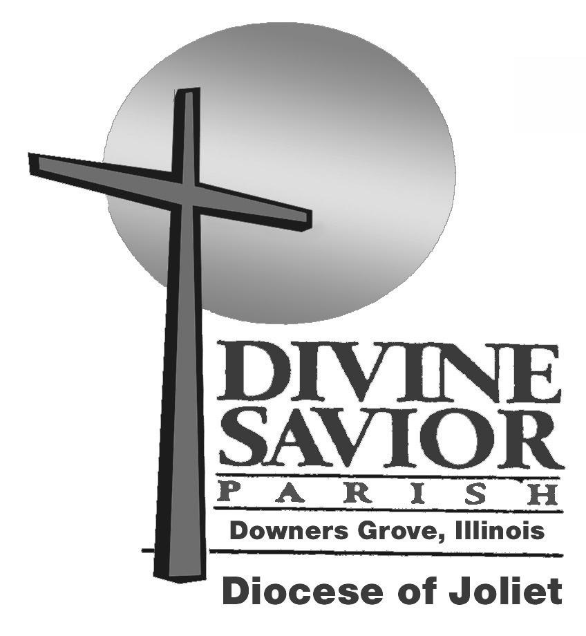 Divine Savior Religious Formation Office