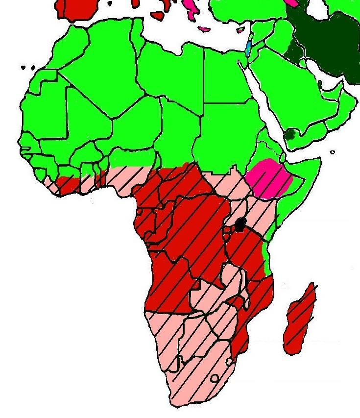 Sub-Saharan Africa While Islam dominates North Africa, the area south of the Sahara Desert is largely Christian and Animist.