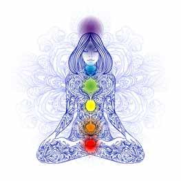 THE CHAKRAS Chakra 1 (muladhara) bottom of the spine. The root chakra is connected with survival of the individual as a separate being.