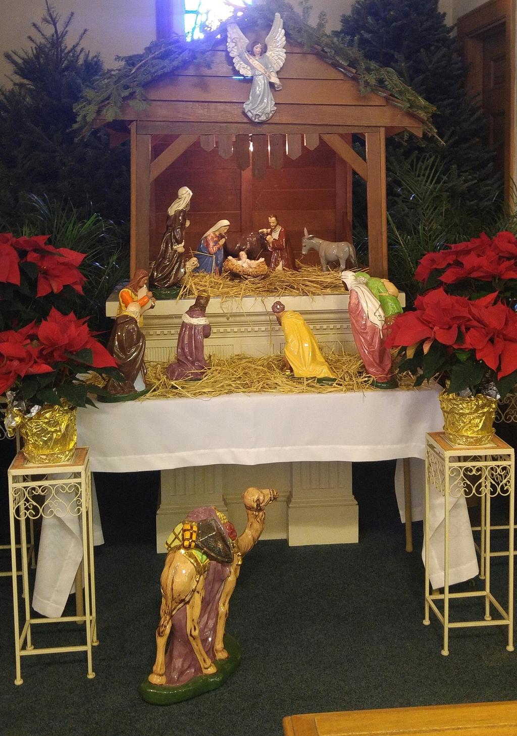 St. Francis of Assisi Parish 530 Gardners Neck Road Swansea, Massachusetts 02777 Feast of the Epiphany They were overjoyed at seeing the star, and on entering the house they saw the child with Mary