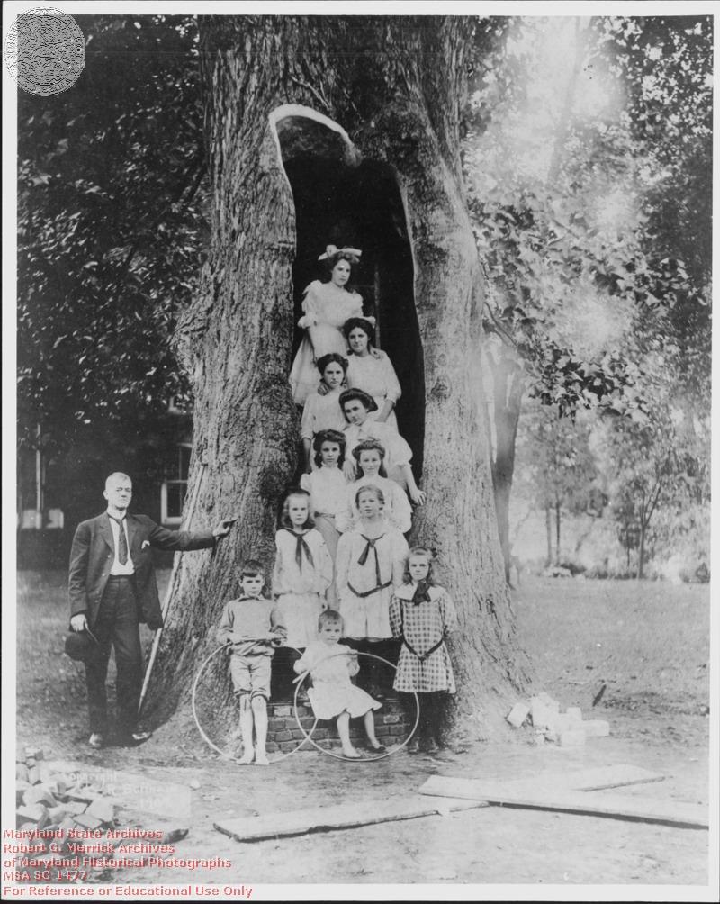 On this day four weeks after the declaration of war, citizens of Annapolis assembled under the venerable poplar as their fathers had done for the purpose of expressing their devotion to the sacred