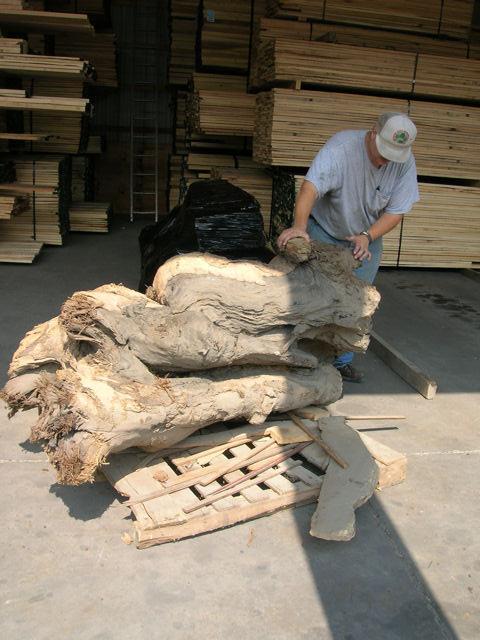 The PF has done some amazing work to insure that the last remnants of the last Liberty Tree are honored and preserved.