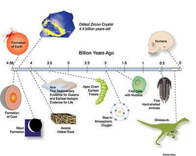 Evolution Time line Simple Cells Complex Cells Multicellular Life Simple Animals