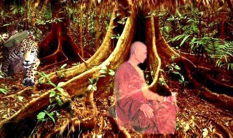 The Fear & Terror to A Forest Monk Bhaya-bherava Sutta Fear and Terror Maajjjjhi imaa Nikaayyaa 44 Attaai innmeennt t oof f Ennl ligghht teennmeennt t