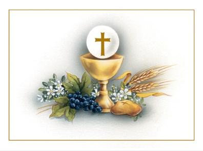 76 The hosts and wine being used for the month of November have been generously donated by Angela Carroll. St. Michael Stewardship Blessings 11/5/2017 Attendance 48 Offertory $741.00 Other 28.
