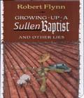 Growing Up A Sullen Baptist And Other Lies growing up a sullen baptist and other lies author by Robert