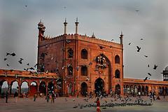 Delhi - the capital of India, is a fascinating city with complexities and contradictions, beauty and dynamism, where the past co-exists with the present.