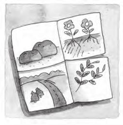 The Parable of the Sower For Extra Time If you have a long class time or want to add additional elements to your lesson, try one of the following activities.