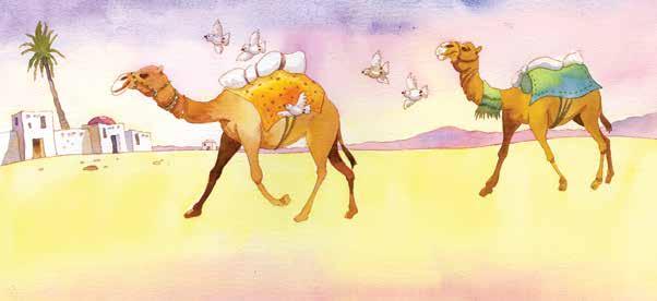 So Al-Muttalib set out to return to Makkah along with his nephew. When both of them riding their respective camels entered Makkah, Shaybah s camel went in front while Al- Muttalib rode behind him.