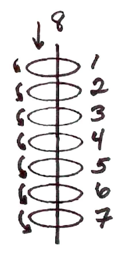 Master Level Symbol Seven counter clockwise circles ending in a line drawn through them from the top to the bottom draw the Master Level Symbol.