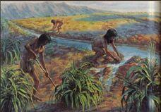 The Indians had previously grown crops with the aid of irrigation but not the type practiced by the Mormons.
