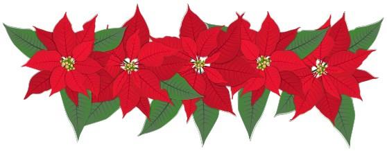 Looking for Poinsettia Plants for the Homebound!