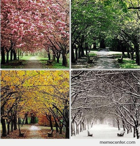 1) What are the four seasons?