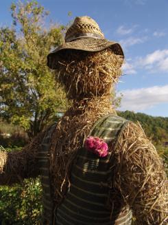 Straw Man When someone ignores the argument and replaces it with a distorted or exaggerated version of that argument. USING SOMEONE S WORDS AGAINST THEM.
