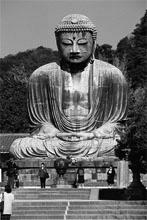 of Amitabha Buddha: Namu amida butsu Teaches rebirth in the pure land, a sort of Buddhist heaven Nichiren Buddhism (Japan) The Lotus Sutra is the only path to enlightenment.