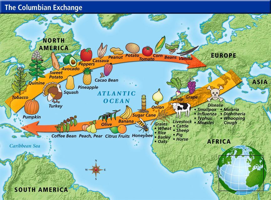 d. Desire for religious freedom e. Columbian Exchange i. Europeans brought wheat, grapes, and livestock ii.