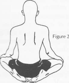 Pace the hands on the knees, palms downwards. Hold the spine and head upright. This is the final pose. easier and is more widely used by people who practise kriya yoga.
