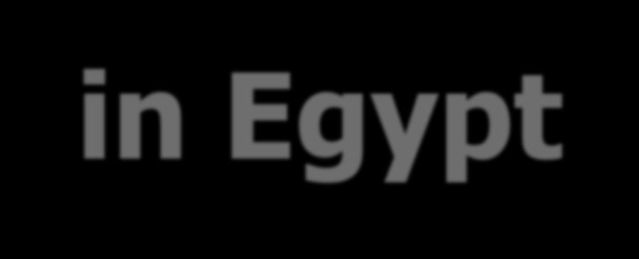in Egypt