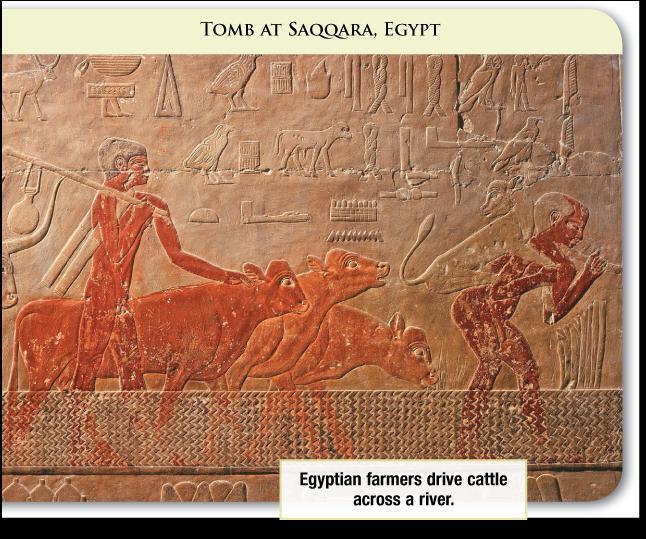 Ancient Environments The Egyptians received fertile soil from the floodwaters of the Nile for farming.