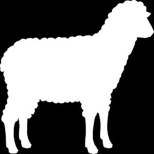 Hābil loved Allāh and took his best and healthiest sheep. Qābil took some old, dry, rotten crops to give to Allāh. He was mean and did not really like Allāh or giving others what he had.