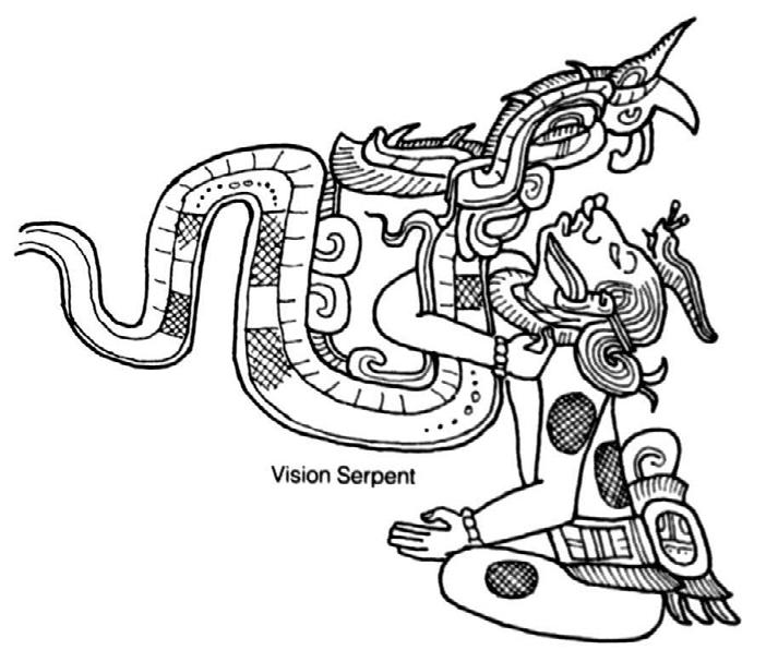 In a many of the images, the hemipenis is shown directly upon the snake itself, such as on a Classic Maya conch shell trumpet inscribed with the image of a person who appears to be in an ecstatic