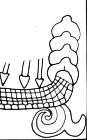 Maya scholars have identified these appendages on the snake body as breath volutes (Saturno, Stuart and Taube 2007), perhaps not realizing that the snake actually does have bifurcated appendages on