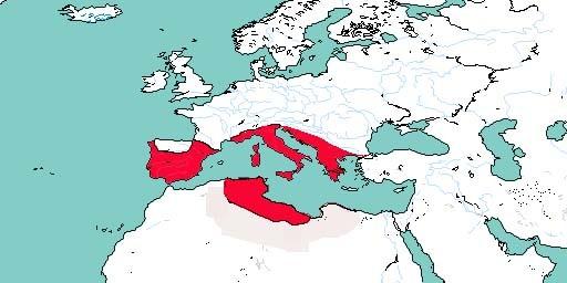 The Third Punic War The third war in 149 B.C.