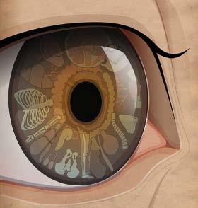 Lesson 1 Introduction & Building the Iris Chart Introduction What is iridology? It is a method that enables us to know the tissue strength of the various parts of the body.