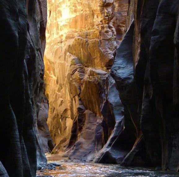 Canyoneering & Guided Hikes Fall in love with the grandeur and majesty of Zion under the watchful care of an expert.