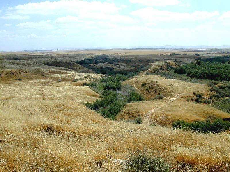 Nahal Gerar in the Negev Now Abraham journeyed from