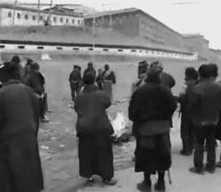 Communist Party and government increased pressure on and interference with the Tibetan people s aspiration to preserve the viability and vibrancy of their culture and language.