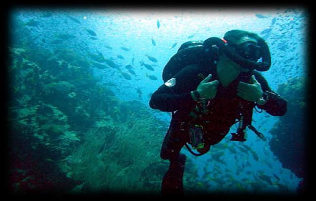 diving enthusiasts. Bentota is a true dream destination for the die-hard divers.