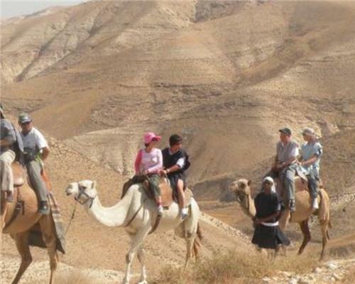 TUESDAY - JUNE 14 Page 14 of 15 8:00 AM Departure from Abraham Lincoln 24 10:00 AM Masada Tour גן לאומי מצדה IL 1:00 PM Ein Gedi