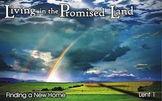 Living in the Promised Land: Resources - Graphics!