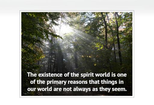 Theology Basics ST101 LESSON 04 of 04 The Doctrine of the Spirit World 1. Q. What is the spirit world?