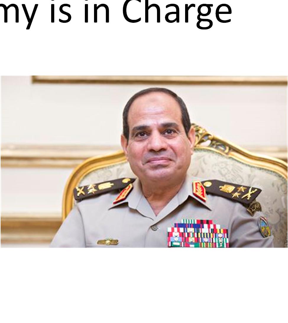 Egypt The Army is in Charge President Sisi is fourth autocrat from the Army elected President Existential struggle between Army and MB Army winning Terrorism emanating from Sinai threatens