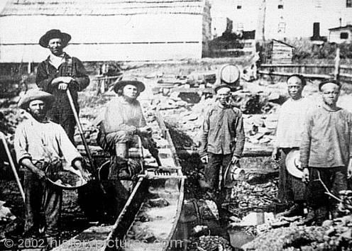 Chinese men labor for white California miners Before 1850, there were fewer than 1,000 Chinese in the U.S.; by 1852 there were 20,000 in California alone.