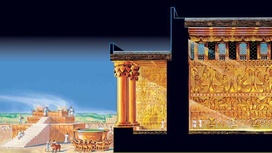Rose Guide to the Temple Solomon s Temple Side View 1 4 3 5 2 6 1 2 3 4 5 6 BRAZEN ALTAR. Sacrifi ces took place upon this altar. ANIMALS FOR SACRIFICE.
