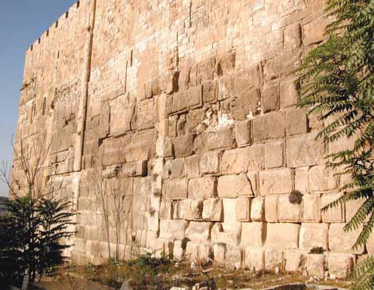 Rose Guide to the Temple Herod s Construction The condition of the second temple and Herod s plans for a much larger structure included the complete dismantling of the old temple.