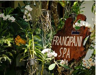The Frangipani Spa Renew your skin, indulge your senses and immerse