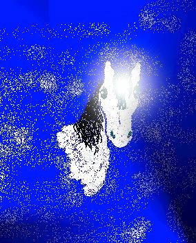Spirit Steed Reiki Empowerment Spirit Steed Reiki Empowerment All artwork and the manual are copyrighted by Linda Colibert Jan.