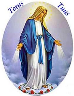 O Mary, conceived without sin, pray for us who