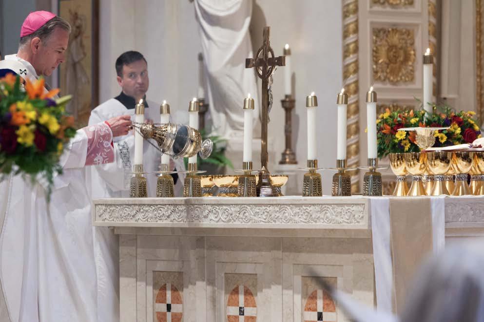 Each month we publish an extract from various studies commissioned by the Pontifical Office of Liturgical Celebrations under the guidance of Msgr.