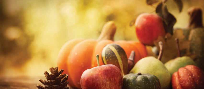 A Letter from Our Pastor November is a Time for Thanksgiving Dear Parishioners, November seems to automatically bring us to thoughts of thanksgiving and Thanksgiving it is both a time of year when we